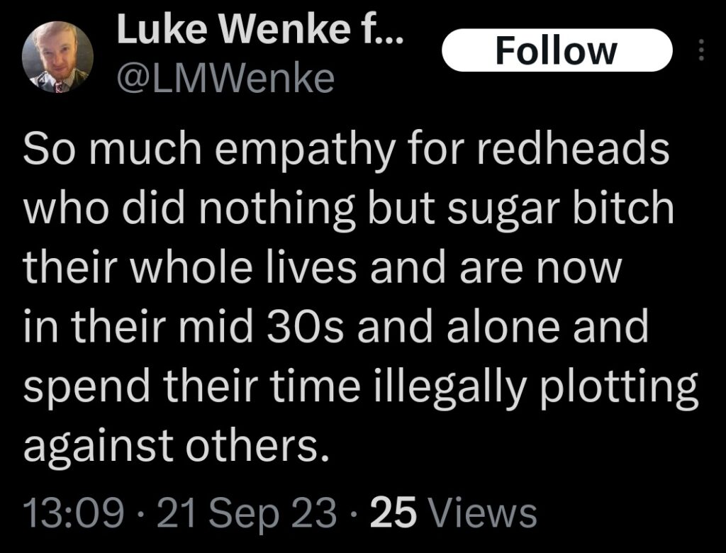luke wenke x twitter screenshot katie obsession 2023