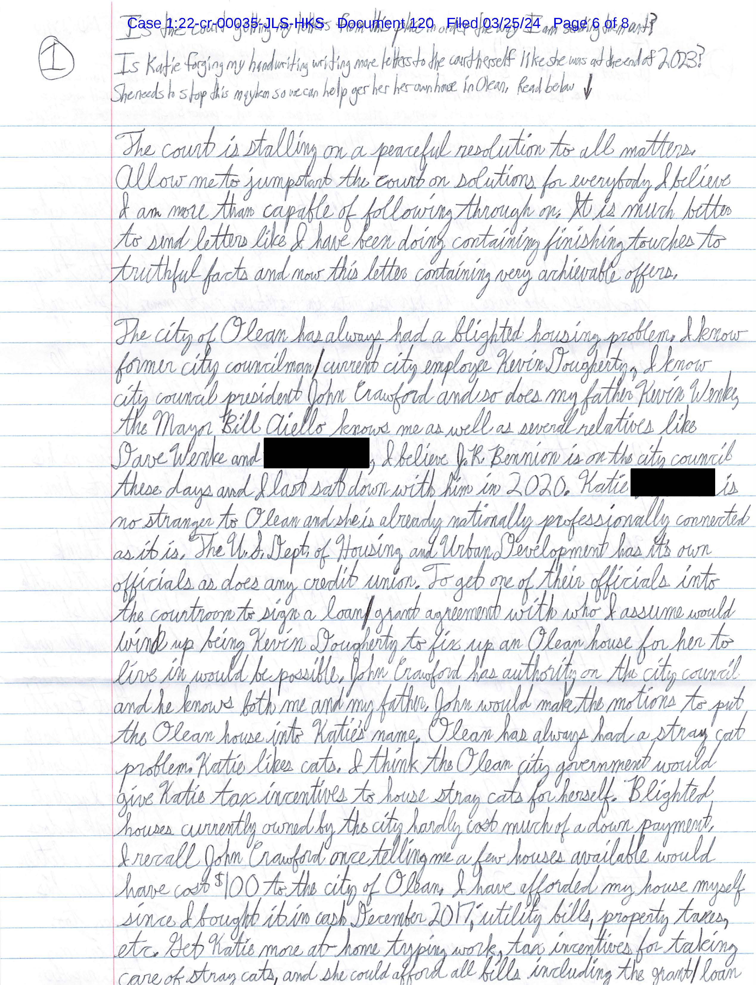 letter from luke wenke to the honorable john l. sinatra jr. march 2024