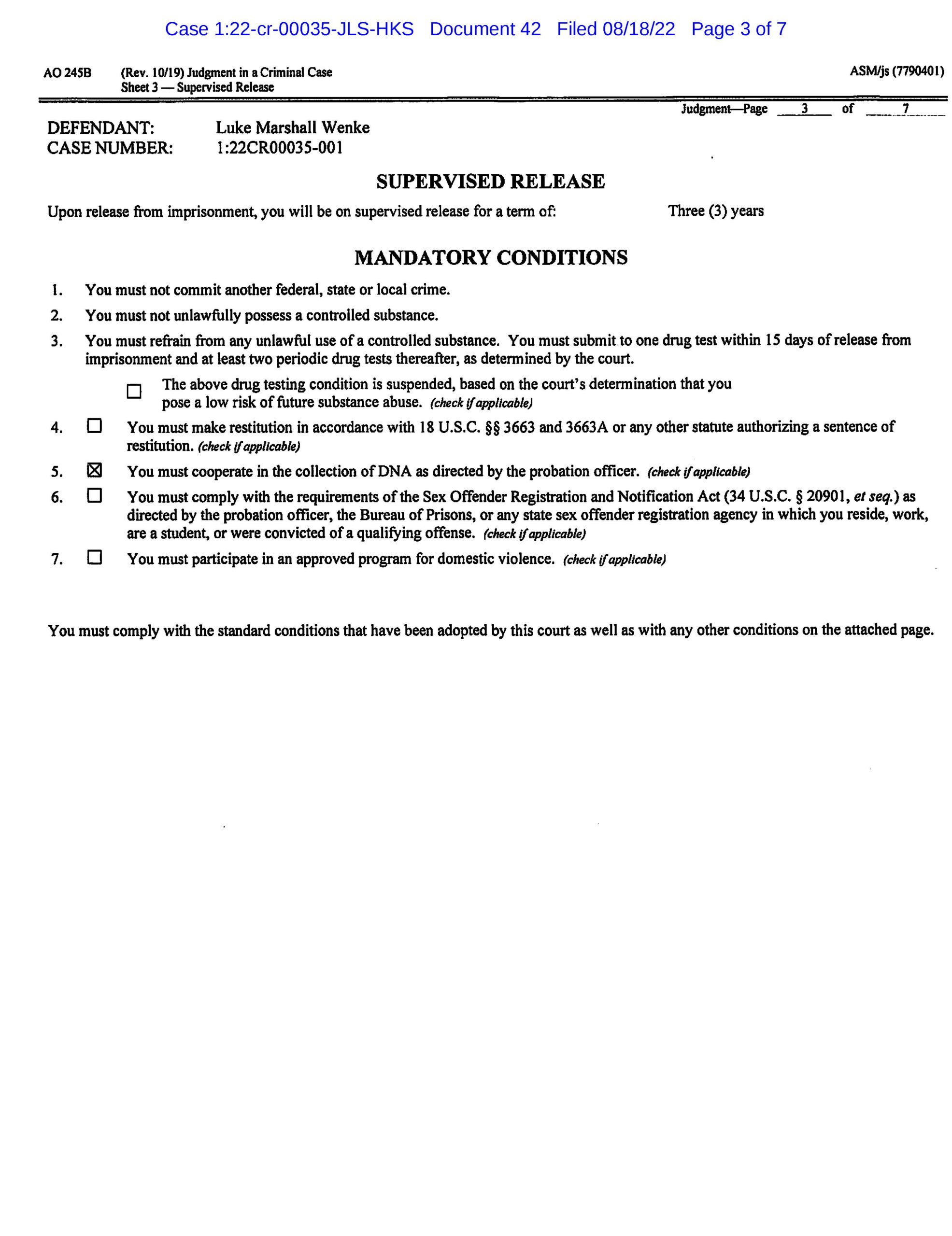 usa v. luke wenke judgment guilty of federal cyberstalking charge 2022